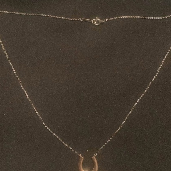 Tiffany & Co. Silver Horseshoe Necklace - Picture 1 of 5
